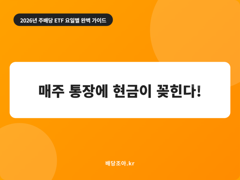 매주 통장에 현금이 꽂힌다!